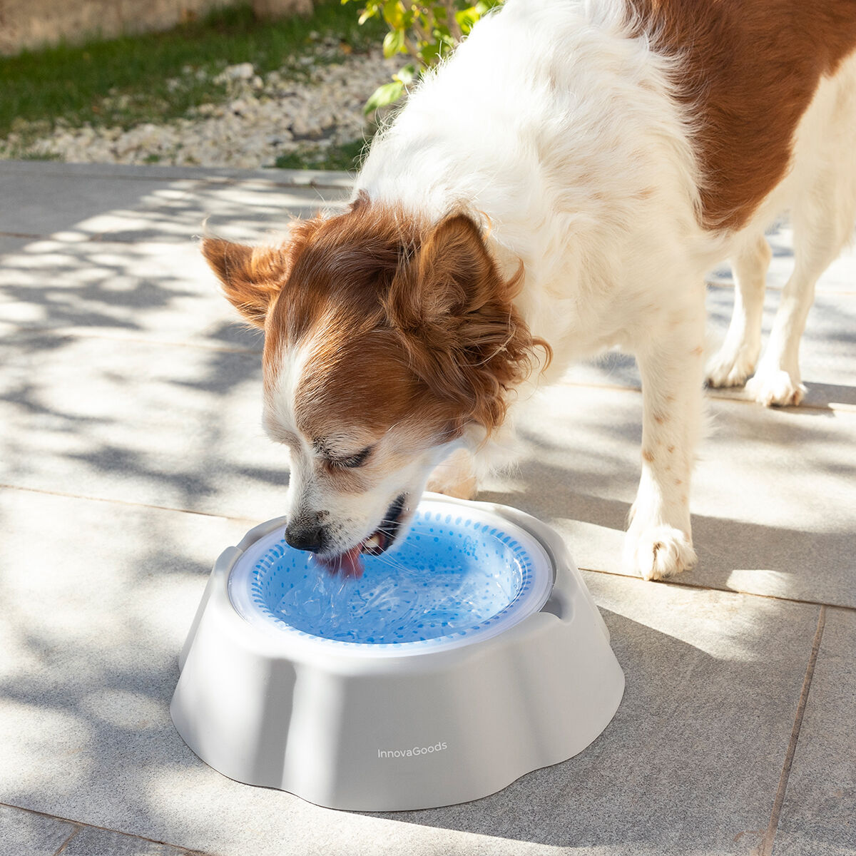 Cooling fashion pet water fountain